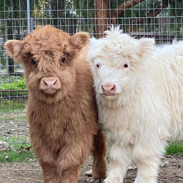 Maya  & Earl